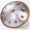 10 Note D Kurd Handpan Golden Eye Edition for Harmony